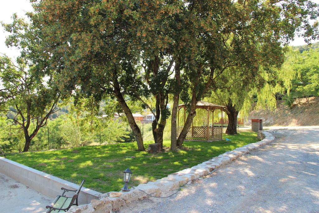 ホテル Domaine Plein Sud Bruzac エクステリア 写真